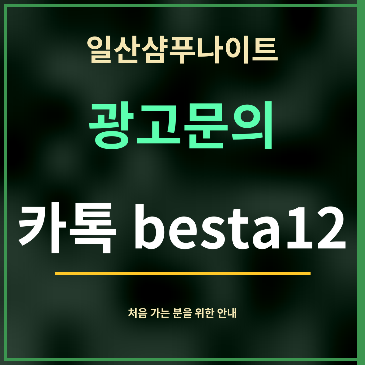 일산샴푸나이트 · 광고문의 · 카톡 besta12